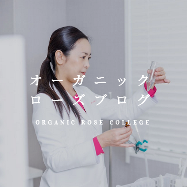 ローズを美容と健康に取り入れる方法　オーガニックローズカレッジ